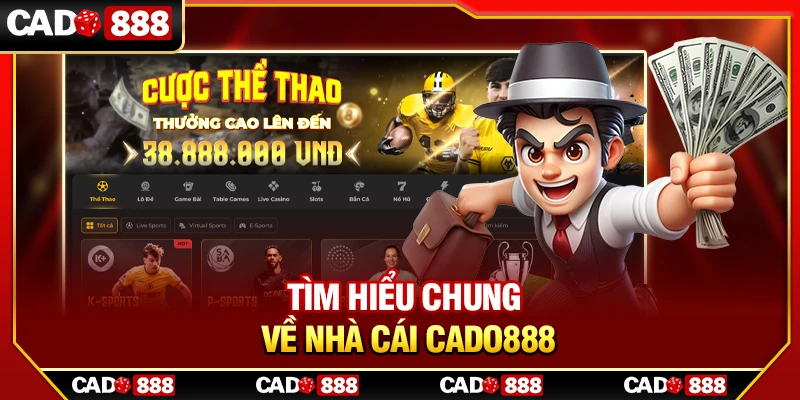 Tìm hiểu chung về nhà cái Cado888